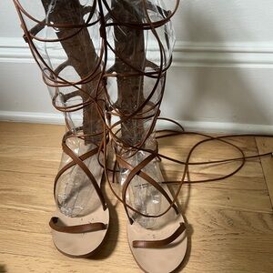 Brown Gladiator Sandals